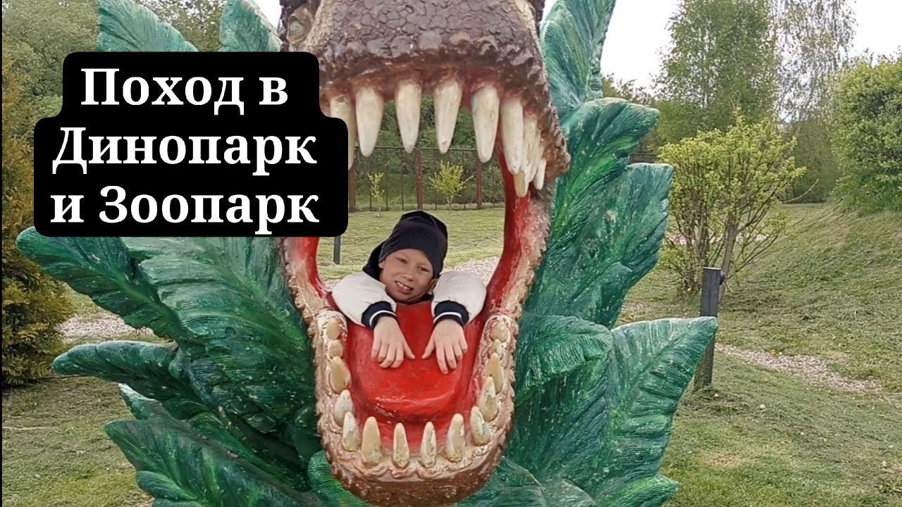 Часть 2: Зоопарк. Минск, май 2025