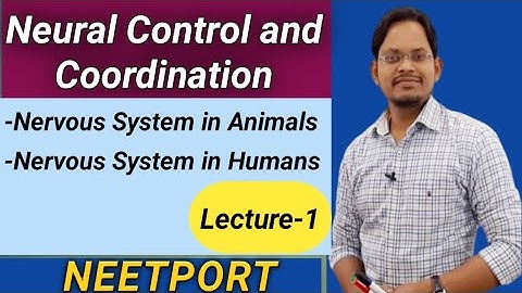 Neural Control and Coordination-Nervous System|Lecture-1| Neet Biology|AIIMS| Class11 Biology|