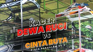 Kacer DEWA RUCI VS CINTA BUTA - Piala Pakualam Ke 9