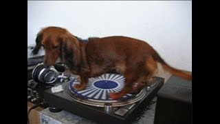 Chocolate Puma - I Wanna Be U (slowed reverb)