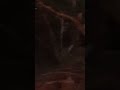 Contai old haunted court