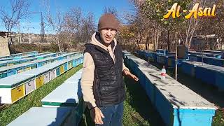 картинка: АРИЛАРНИ КИШГА ЖУНАТИШДА КИЛИНАДИГАН ИШЛАР