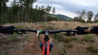 MTB Zone Bikepark Willingen / Enduro Strecke