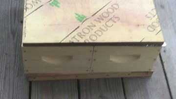 Modern Mating Hive for Queen Rearing