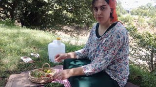 Cooking in nature with fish, rice and vegetables - The nature of Gilan