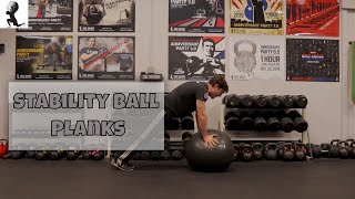 Famous Stability Ball Plank Exercises Wealth