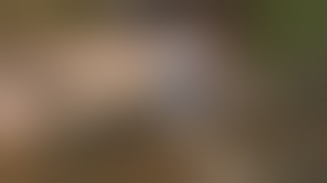 Best Fails of the Week 2 December 2013    FailArmy