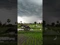 Relaxing morning #relaxing #nature #relaxingmusic #trending #viral #foryou #shorts #ytshorts #relax