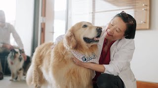 UW School of Veterinary Medicine