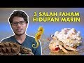 3 Salah Faham Hidupan Marin