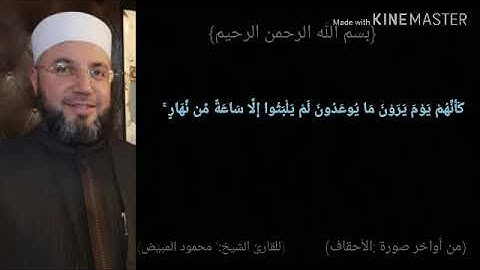 القارئ الشيخ محمود مبيض