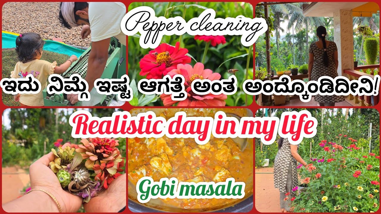 ಪ್ರತಿ ದಿನ ಬೆಳಗ್ಗೆ ಹೊತ್ತು ಈ ಥರ ಇರತ್ತೆ! | ಡಾಬಾ ಸ್ಟೈಲ್ ಗೋಬಿ ಮಸಾಲಾ | Gardening update | Gobi masala 