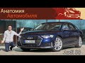 Обзор Audi S8 2021 Ночная поездка по Автобану