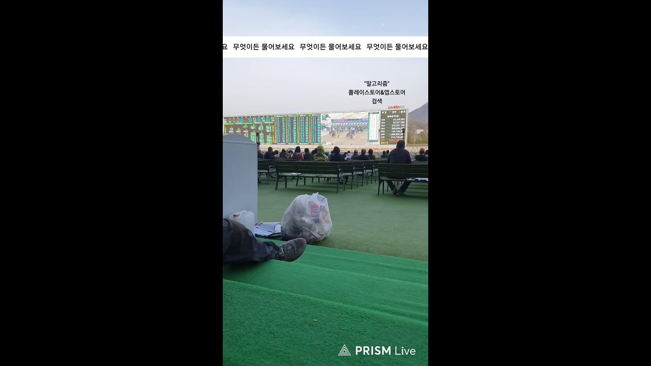 레전드 소통방송 | 무엇이든 물어보세요