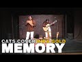 MEMORY CATS cover by INKA GOLD - Beautiful Pan flute and guitar instrumental version