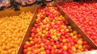 Tomates cerises, petit plaisir, gros business