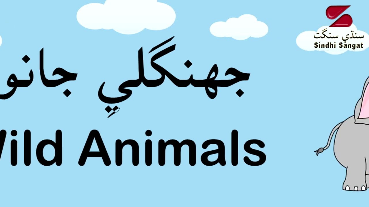 Wild Animals in Sindhi