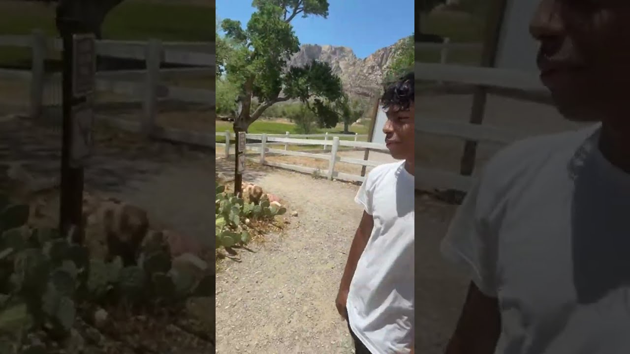 Spring mountain ranch.