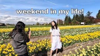 Weekend in my life! | tulip field, work, picnic at Bellevue Park & surprise birthday party