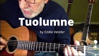 Video thumbnail of ""Tuolumne" (Eddie Vedder) cover by Dennis Anthonis"