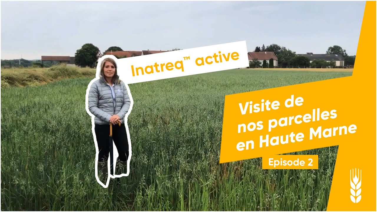 Inatreq™ active : visite de nos parcelles en Haute Marne - épisode 1