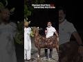 Bajwas Line Ka Bakra at Shawaya Goat Farm