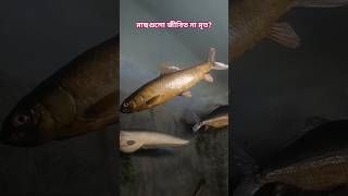 ইন্ডিয়ান মিউজিয়াম | the indian museum #যাদুকর #travel #india #fish #fishing #shorts