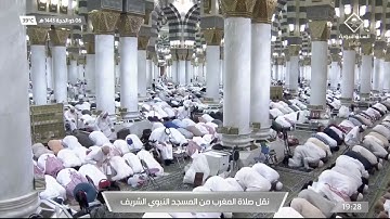 سورة البينة لـ فضيلة الشيخ #عبدالمحسن_القاسم من صلاة المغرب الثلاثاء ٦ ذو الحجة ١٤٤٣هـ