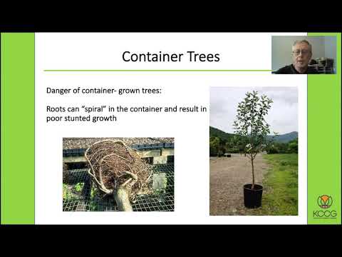 Vídeo: Saskatoon Bush Care: Como cultivar arbustos Saskatoon no jardim