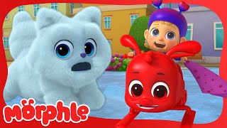 Get Your Skates On, Morphle | Magic Stories and Adventures for Kids | Moonbug Kids