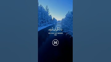 تلاوة هادئة تريح القلب والأعصاب 💜قرآن الكريم✨حالات واتس اب انستقرام بصوت جميل🧡 Quran