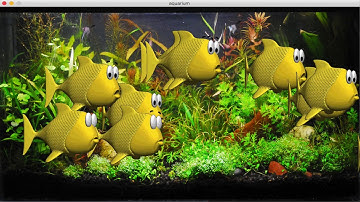 Aquarium and School of Fish in Processing