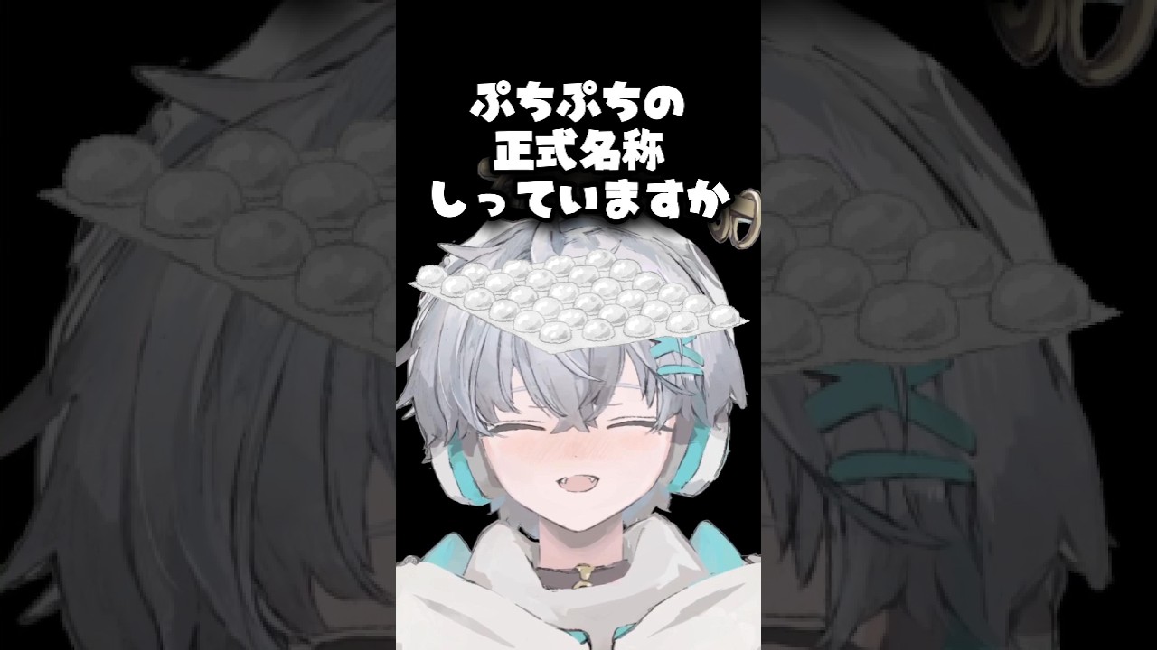 ぷちぷちの正式名称知っていますか??