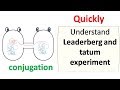 Lederberg and Tatum experiment