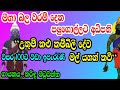 මහා බල වරම් දෙන උතුම් කළු කම්බිලි දේව මල් යහන් කවි|kambili deviyo|dewa adahili