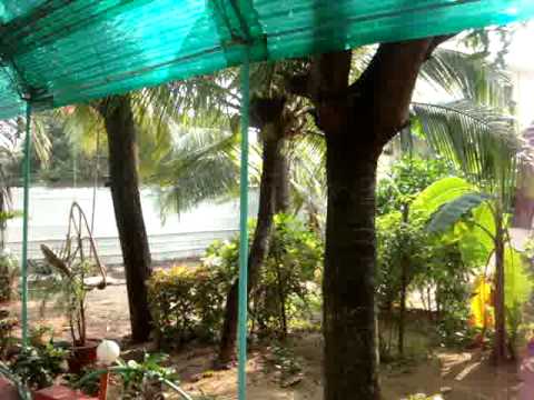Room 111 Sunset Cottages Near Calengute North Goa Youtube