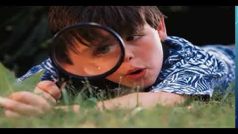 How do scientists use tools?