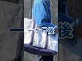 【LLビーン】ボートアンドトートをたった一ヶ月で数年使い込んだ雰囲気に改造してみた！#shorts #llbean #boatandtote