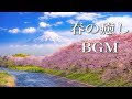 静かな夜に聴く、春の癒し曲【作業用BGM】～桜舞う季節に、儚くも美しいピアノの音色を～