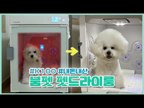 120만원 붐펫 펫드라이룸 <strong>K100</strong> 리얼리뷰! #내돈내산 #플렉스 #비숑사용기 | GONGSIL 공실이
