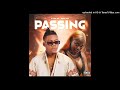 Dj Taba Mix & Delma Silva - Passing (Áudio Oficial)