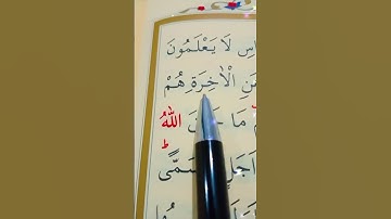 سورة الروم الأية 6 إلى 8 القارئ سعد الغامدي