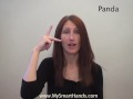 panda - ASL sign for panda