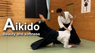 Beautiful and soft High Level Aikido ‐ Shirakawa Ryuji shihan