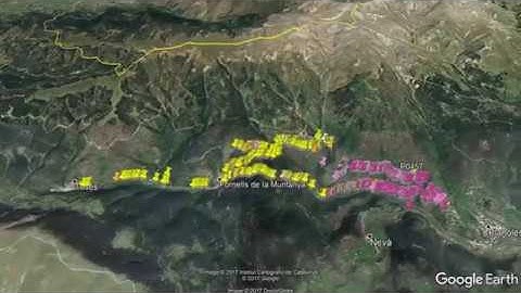 A Flying Visit to the Antirrhinum Hybrid Zone in the Pyrenees