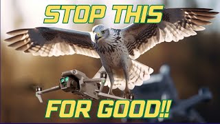 Stop Birds Attacking Your Drone With This ONE Thing!!