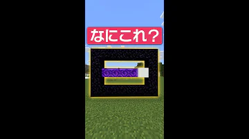 マイクラネザーゲートバグ