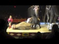 Cole Bros Circus Elephant Show 5-20-13