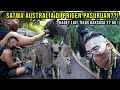 GREBEK KOLEKSI SELURUH SATWA AUSTRALIA DI TAMAN SAFARI PRIGEN !!