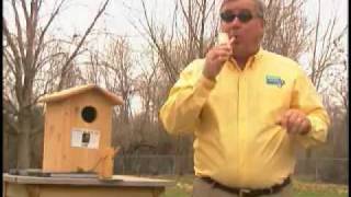 Watch Birdman Mel as he shows us the techniques on how to attract Owl to your backyard. For all your birding needs supplies go to 